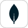 MongoDB
