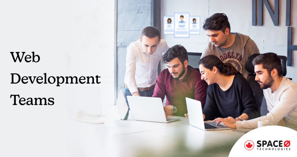 Web development teams